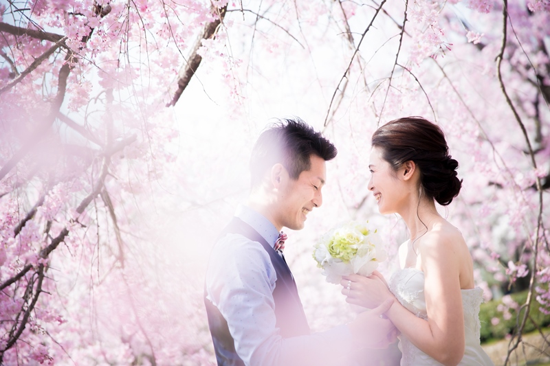 桜ロケーションフォトモニターキャンペーン