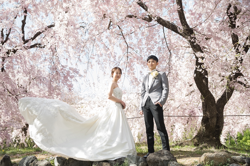 洋装桜ロケーションの写真