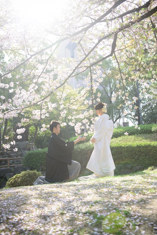 和装桜ロケーションの写真
