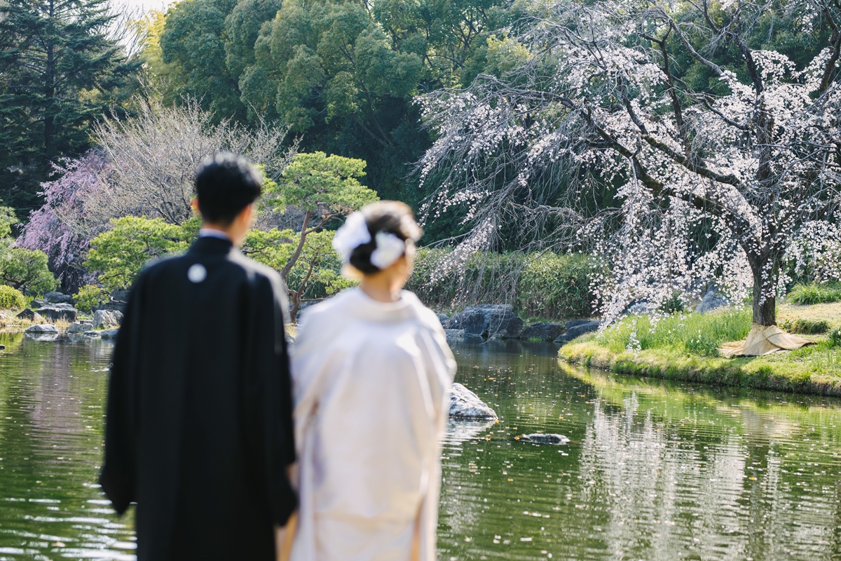 和装で撮った桜ウェディングフォト