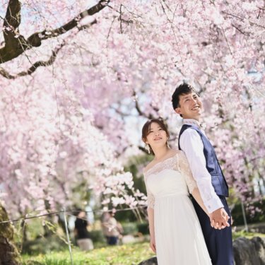 桜の木の下で手をつなぐご夫婦