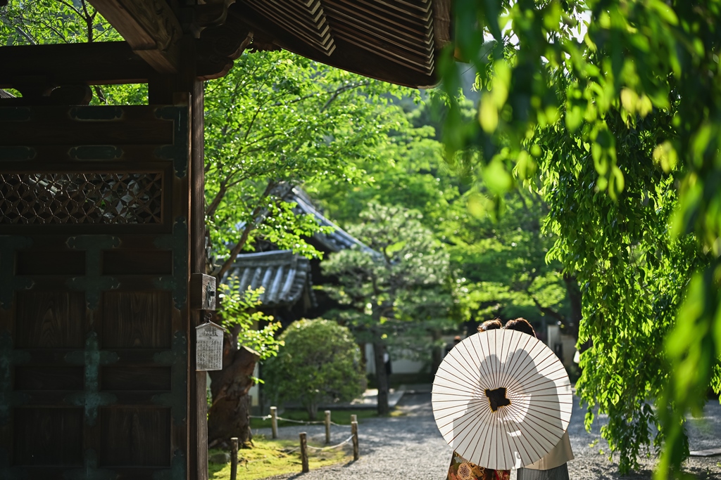 和傘を使った結婚写真