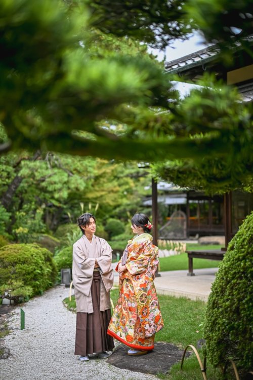 松の木が美しい日本庭園