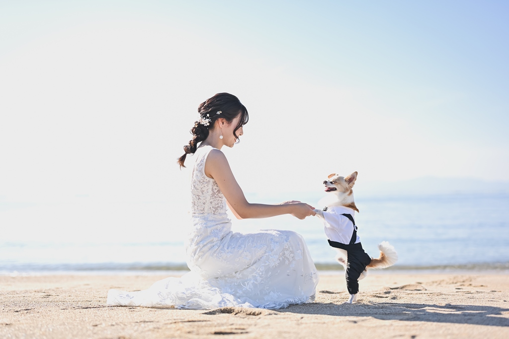 愛犬と撮った結婚写真