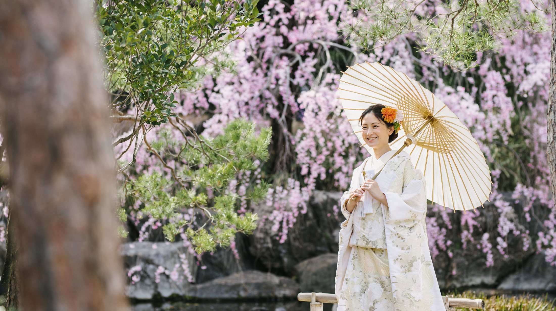 桜フォトウェディング