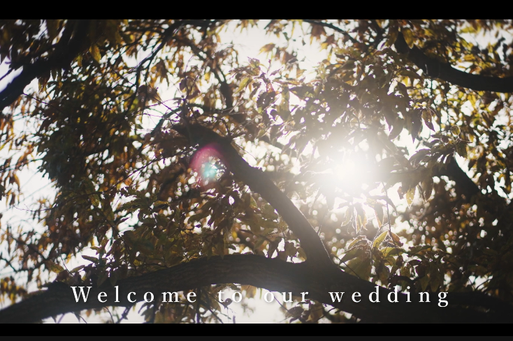 オープニングムービー構成1