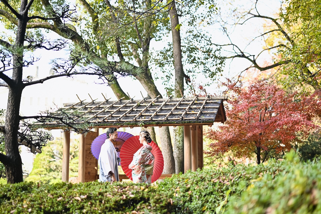 朝のやわらかな光に包まれる庭園