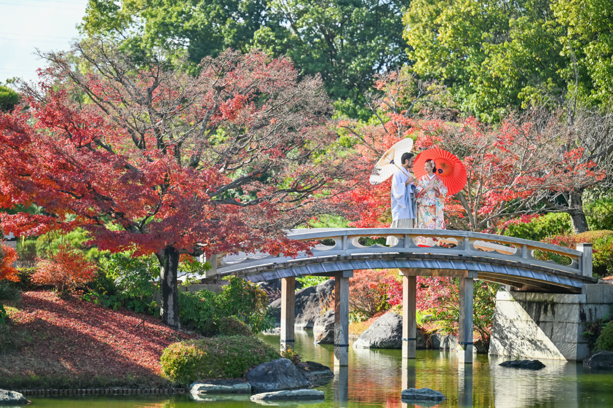大仙公園日本庭園の池と木々が織りなす美しい風景写真
