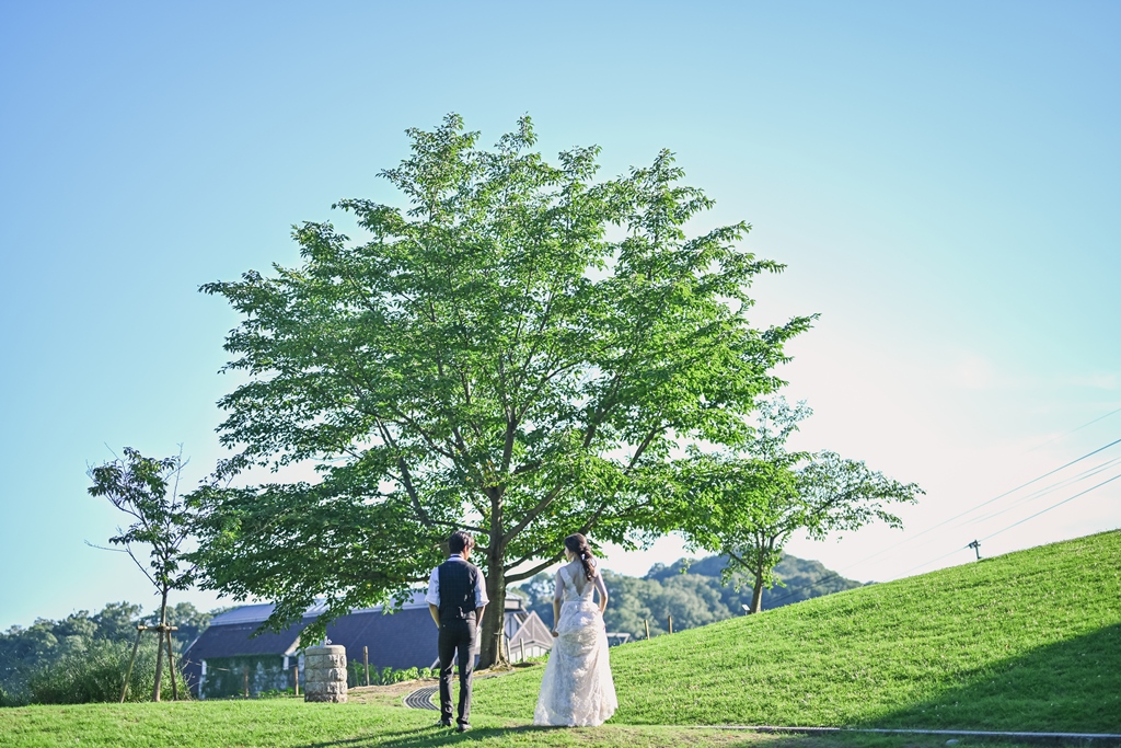 青空の下、芝生に立つ一本の大きな木のそばを歩く新郎新婦の後ろ姿を写した、ナチュラルなウェディングフォト