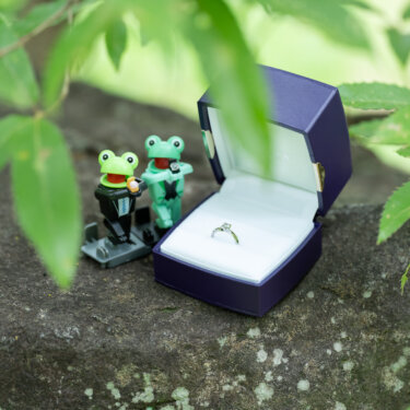 岩の上に置かれた婚約指輪のリングケースと、プロポーズをするカエルのフィギュア。エンゲージリングのディテールカット