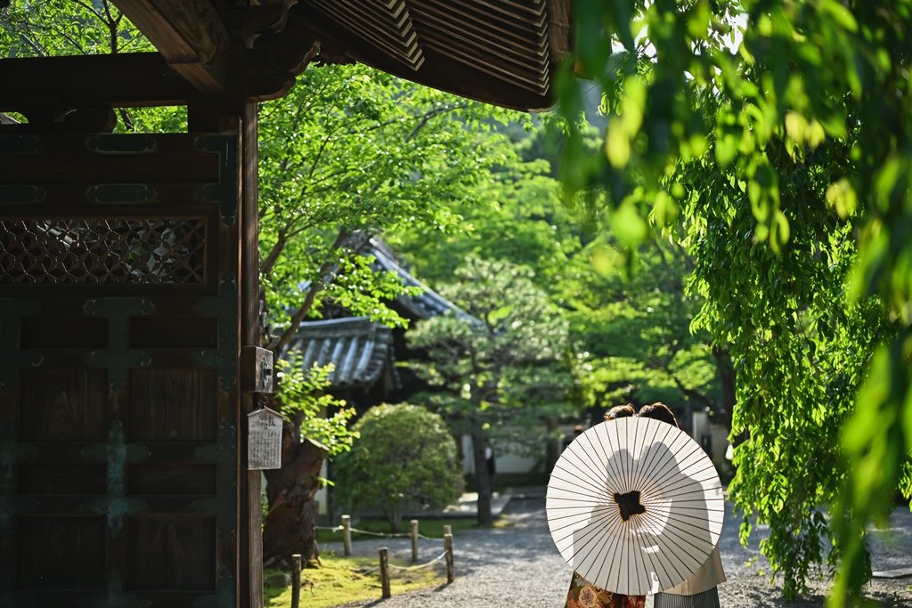 山門の向こうに広がる新緑の毘沙門堂の境内で、白い和傘を差しかけ合う後ろ姿の新郎新婦