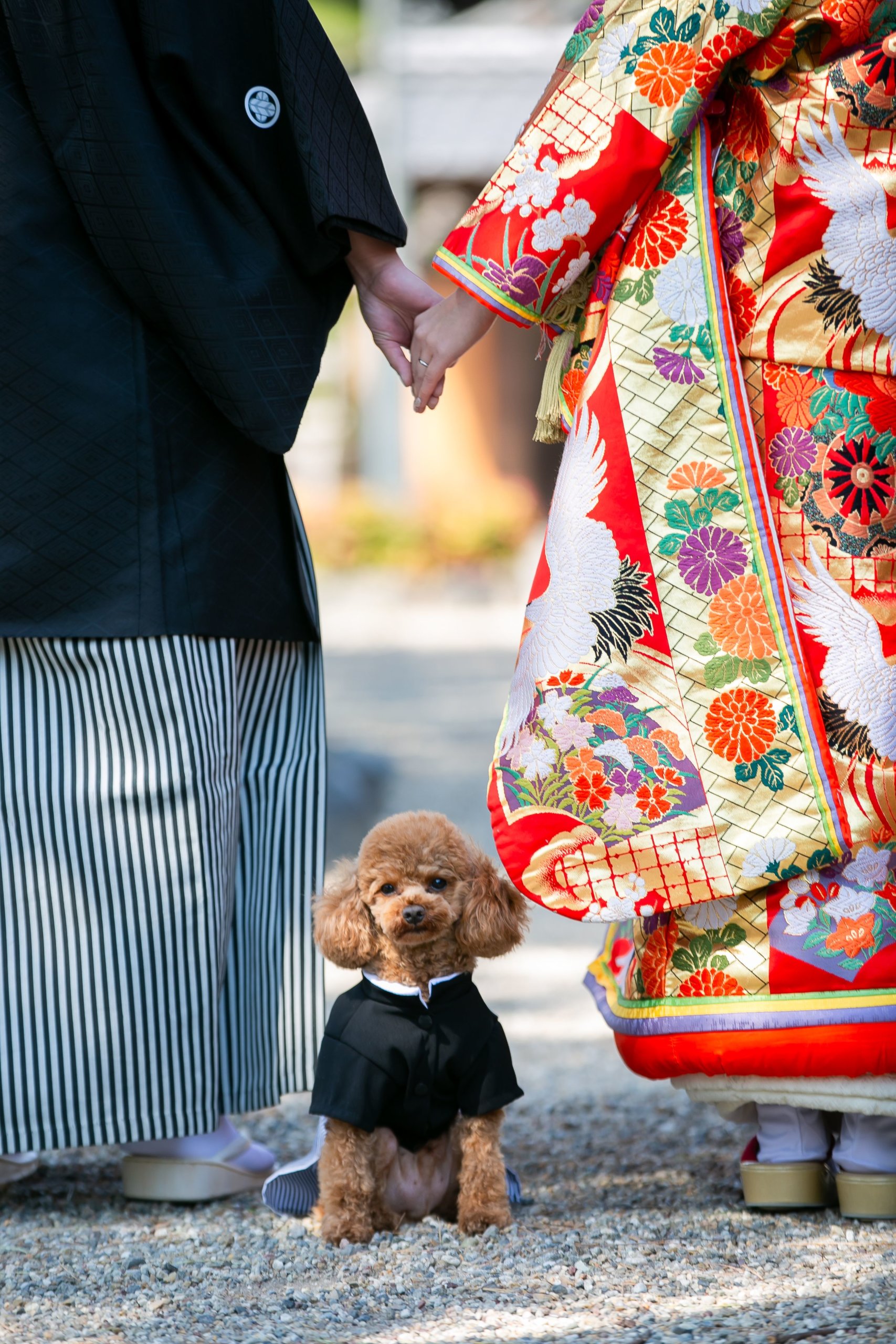 愛犬と一緒に微笑む新郎新婦