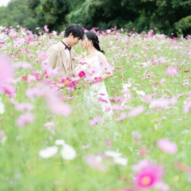 万博記念公園のコスモス畑で、ベージュのタキシードの新郎とウェディングドレスの花嫁がおでこを寄せ合う洋装の前撮り