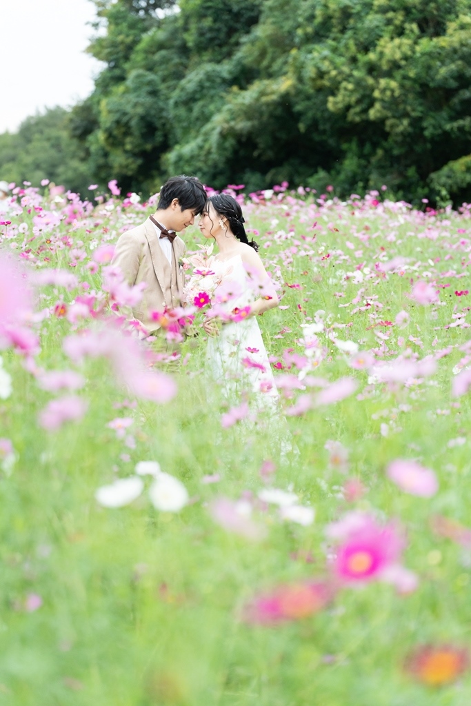 万博記念公園のコスモス畑で、ベージュのタキシードの新郎とウェディングドレスの花嫁がおでこを寄せ合う洋装の前撮り