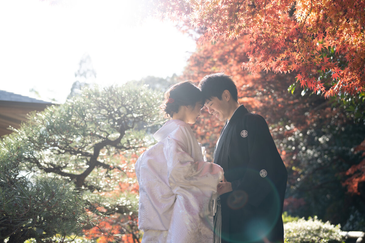真っ赤なもみじの日本庭園でおでこを寄せ合う白無垢の花嫁と紋付袴の新郎。紅葉の和装前撮り